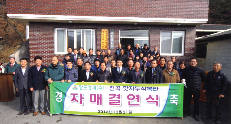 항도청과 이미지